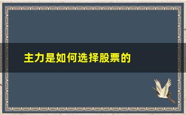 “主力是如何选择股票的(如何查看股票主力的情况)”/