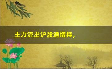 “主力流出沪股通增持，A股市场资金流向分析”/