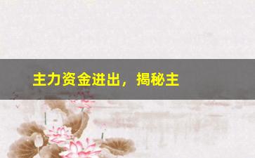 “主力资金进出，揭秘主力资金的进出规律和操作技巧”/