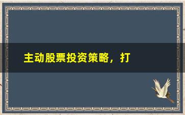 “主动股票投资策略，打造优质投资组合的方法与技巧”/