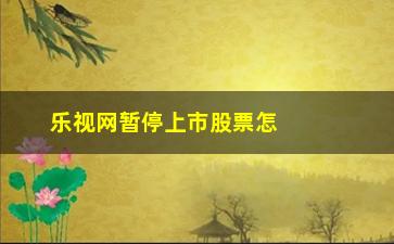 “乐视网暂停上市股票怎么办(哪些人应该背锅)”/