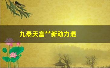 “九泰天富**新动力混合基金净值（基金表现和走势分析）”/