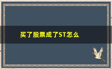 “买了股票成了ST怎么办(持有的股票变成st了如何卖出)”/