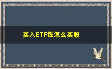 “买入ETF钱怎么买股票(etf的钱怎么买股票)”/