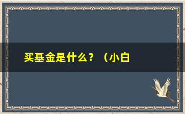 “买基金是什么？（小白也能听懂的基金入门指南）”/