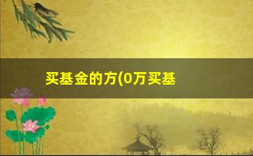 “买基金的方(0万买基金三个月没了)”/