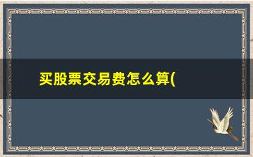 “买股票交易费怎么算(股票手续费怎么计算公式)”/