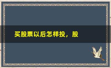 “买股票以后怎样投，股票投资的基本操作指南”/