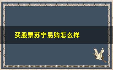 “买股票苏宁易购怎么样(苏宁易购的股票怎么样)”/