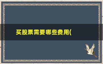 “买股票需要哪些费用(买股票怎么开户流程)”/