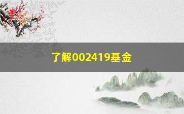 “了解002419基金净值的三种方法（让你轻松掌握投资方法）”/