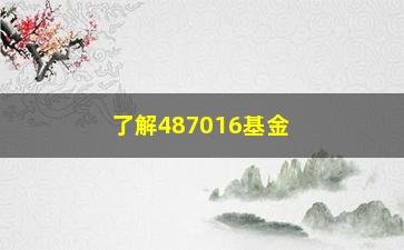 “了解487016基金的秘密（投资者必知的风险和机会）”/