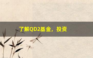 “了解QD2基金，投资股市的必修课”/