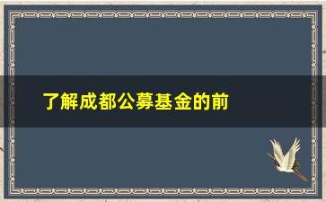 “了解成都公募基金的前景与投资步骤（专业人士分享）”/