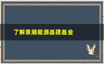 “了解景顺能源基建基金净值（投资者必看）”/