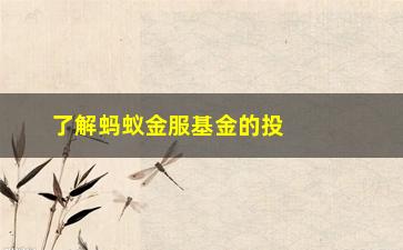 “了解蚂蚁金服基金的投资步骤（普通人也能跟上投资大佬的步伐）”/