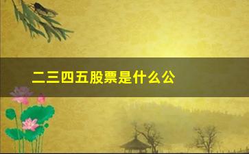 “二三四五股票是什么公司(二三四五是什么龙头股票)”/