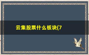 “云集股票什么板块(7字头股票属什么板块)”/