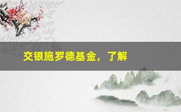 “交银施罗德基金，了解交银施罗德基金的投资方案”/