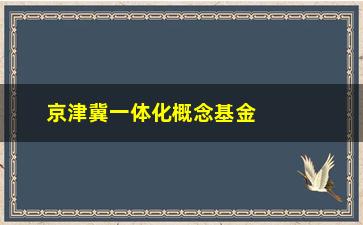 “京津冀一体化概念基金的投资优势和风险分析”/