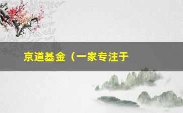 “京道基金（一家专注于私募股权投资的公司）”/