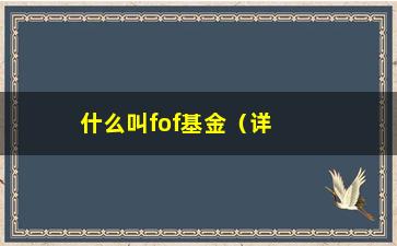 “什么叫fof基金（详细介绍fof基金的投资方式）”/