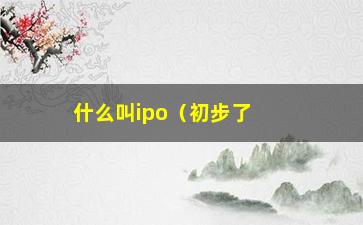 “什么叫ipo（初步了解ipo的概念和流程）”/