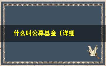 “什么叫公募基金（详细介绍公募基金的概念和投资方式）”/