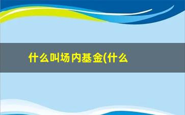 “什么叫场内基金(什么叫场内基金和场外基金)”/