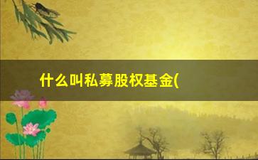 “什么叫私募股权基金(被私募基金骗了100万)”/