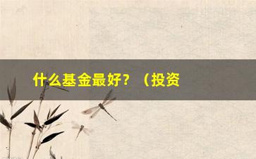 “什么基金最好？（投资专家推荐的最佳基金）”/