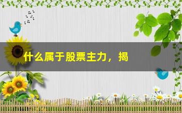 “什么属于股票主力，揭秘股票市场的主力资金”/