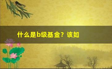 “什么是b级基金？该如何投资？”/