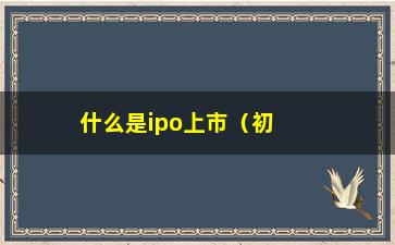 “什么是ipo上市（初探ipo上市的定义和流程）”/