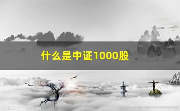 “什么是中证1000股指期货(中证1000指数代码是多少)”/