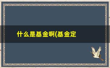 “什么是基金啊(基金定义与概念)”/