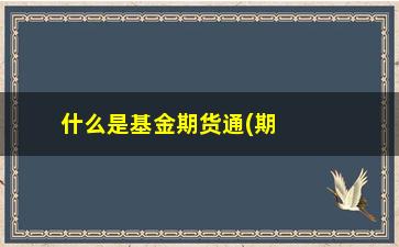 “什么是基金期货通(期货基金是什么意思啊)”/