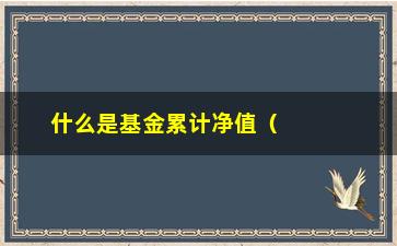 “什么是基金累计净值（深入解析基金投资中的关键指标）”/