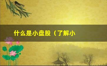 “什么是小盘股（了解小盘股的投资基础知识）”/