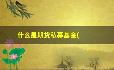 “什么是期货私募基金(公募基金可以投资期货吗)”/