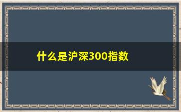 “什么是沪深300指数基金及其投资方式？”/