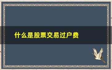 “什么是股票交易过户费(买卖股票过户费怎么收取)”/