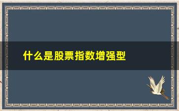 “什么是股票指数增强型基金(000263基金净值查询)”/