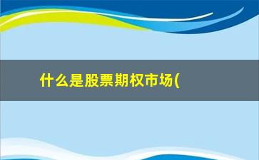 “什么是股票期权市场(股票期权是啥)”/