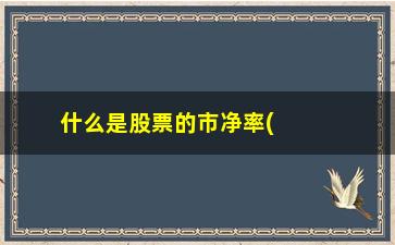 “什么是股票的市净率(市净率5高还是低)”/