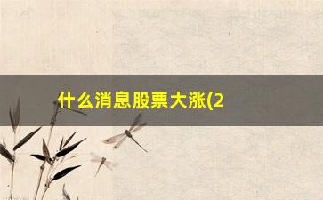 “什么消息股票大涨(2023年买什么股票会大涨)”/