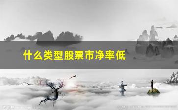 “什么类型股票市净率低(市净率低的股票排行)”/