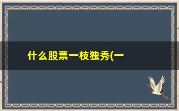 “什么股票一枝独秀(一枝独秀股票形态)”/