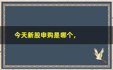 “今天新股申购是哪个，最新申购股票信息”/