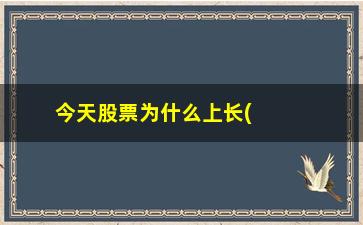 “今天股票为什么上长(今天股票为什么下跌这么多)”/